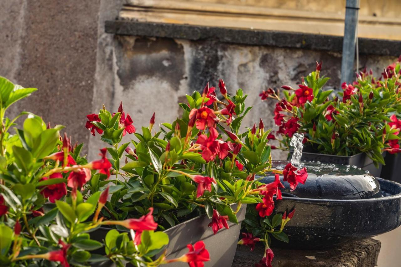 Ag Spanish Steps Terrace روما المظهر الخارجي الصورة